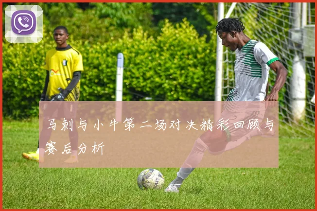 马刺与小牛第二场对决精彩回顾与赛后分析