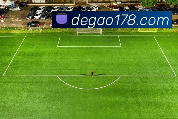 开云体育APP 封面图